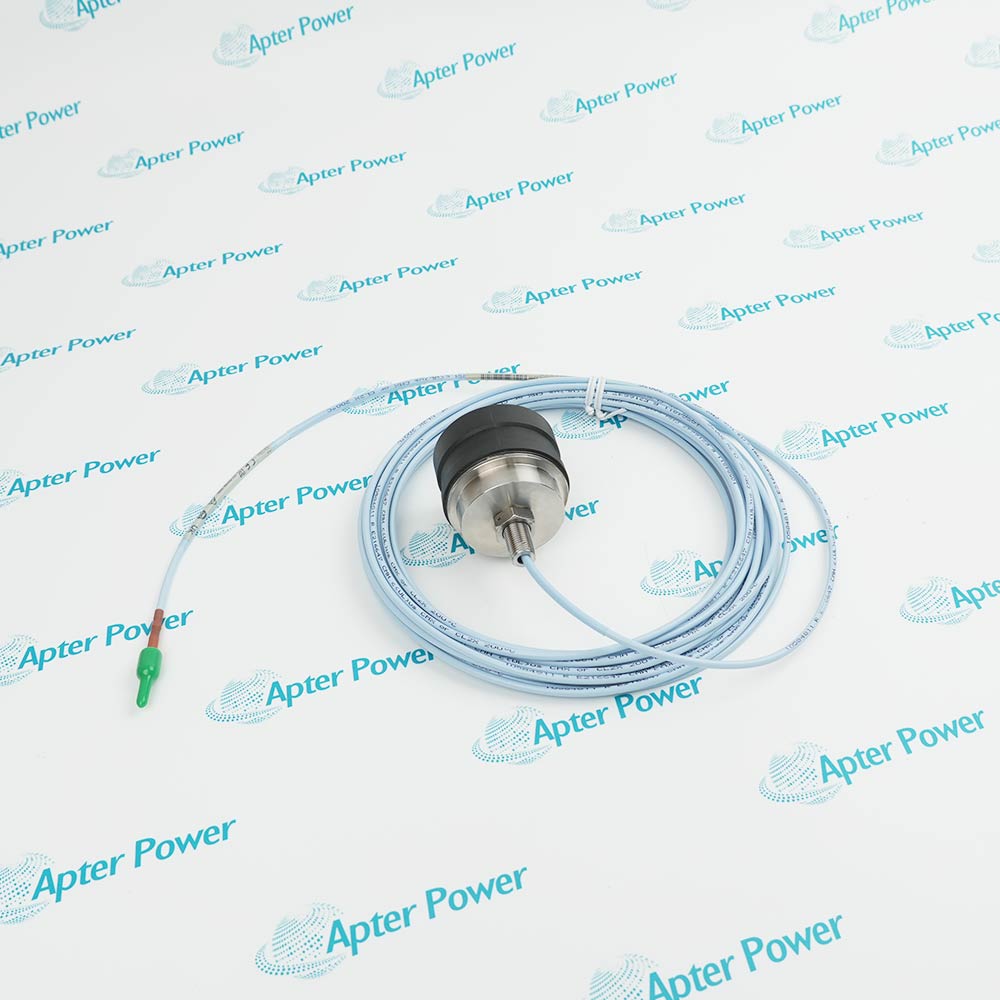 Bently Nevada 330876-01-90-00-00