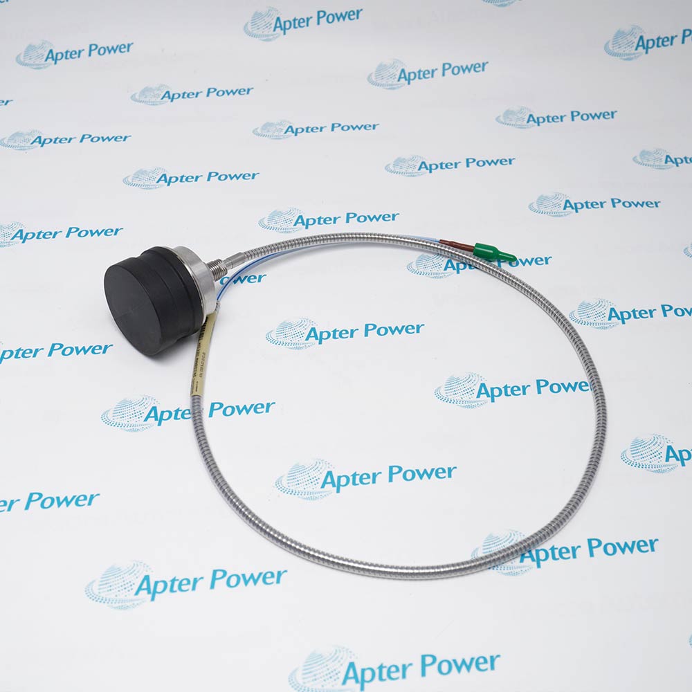 Bently Nevada 330876-02-10-01-00