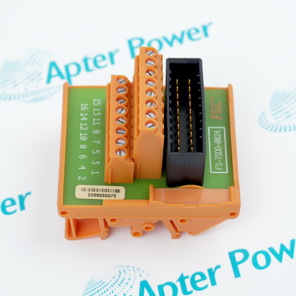 FS-TSDO-0824