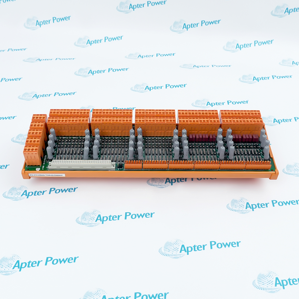 PP45563-T8842