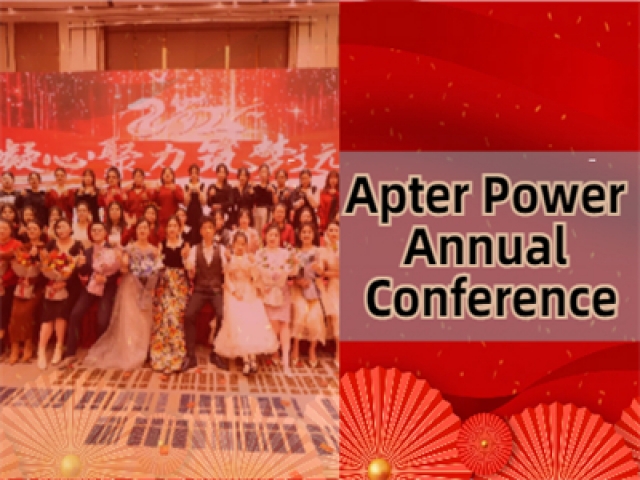The Apter Power Annual Conference is grandly held with a variety of exciting activities