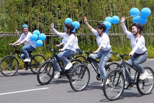 Entrepreneurial stories and ideas